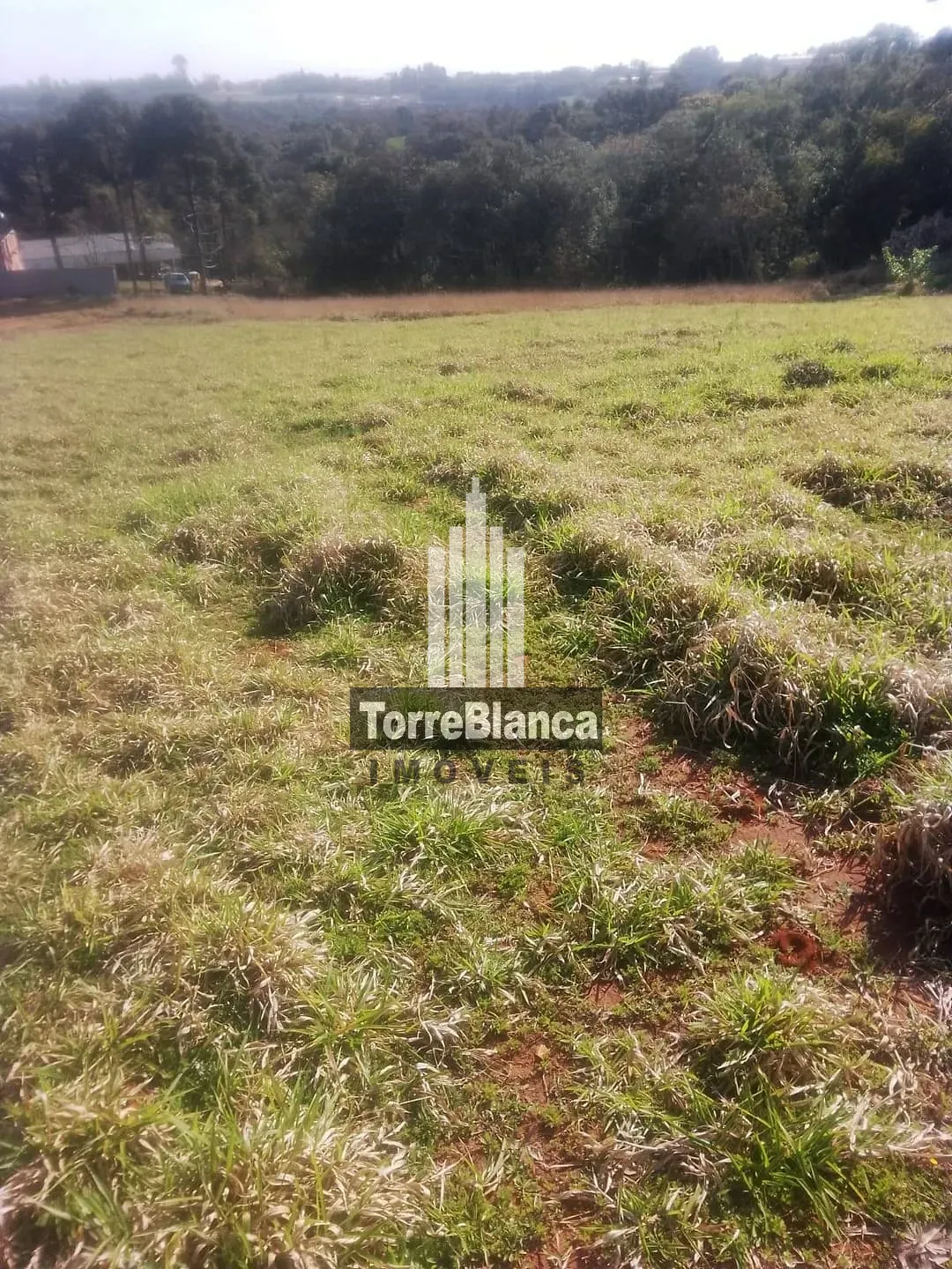 Terreno, 1 hectares - Foto 3