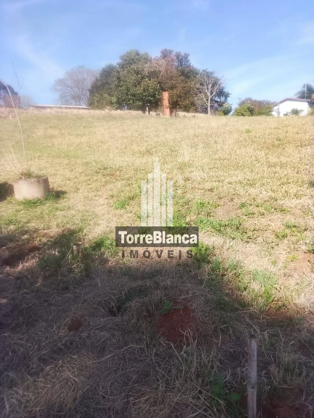 Terreno, 1 hectares - Foto 4