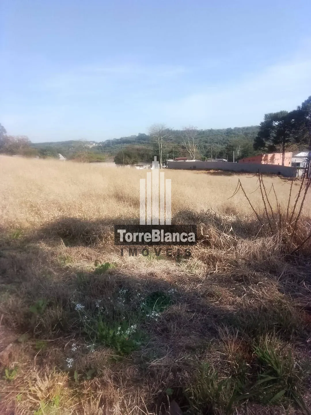 Terreno, 1 hectares - Foto 5