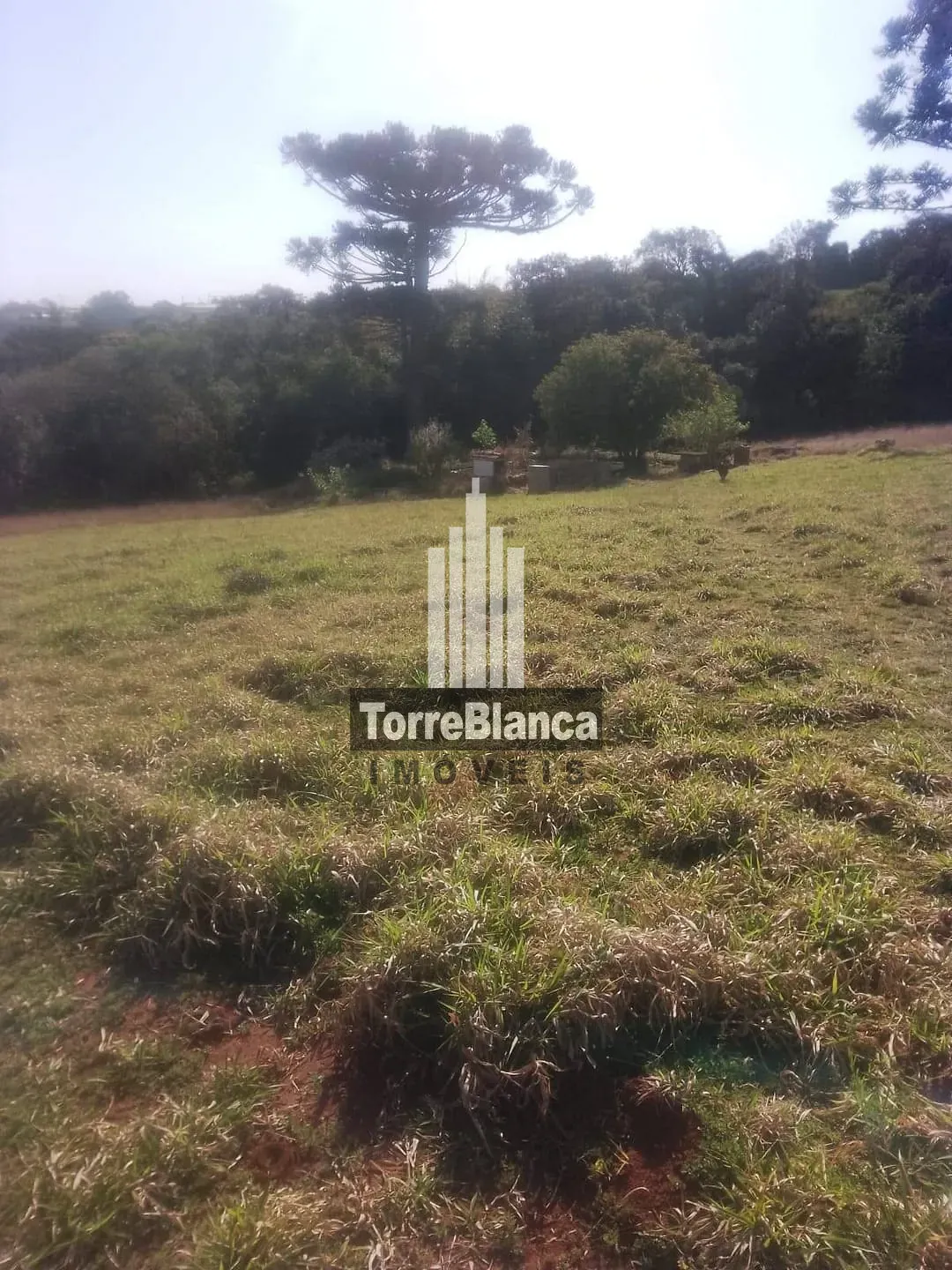 Terreno, 1 hectares - Foto 6