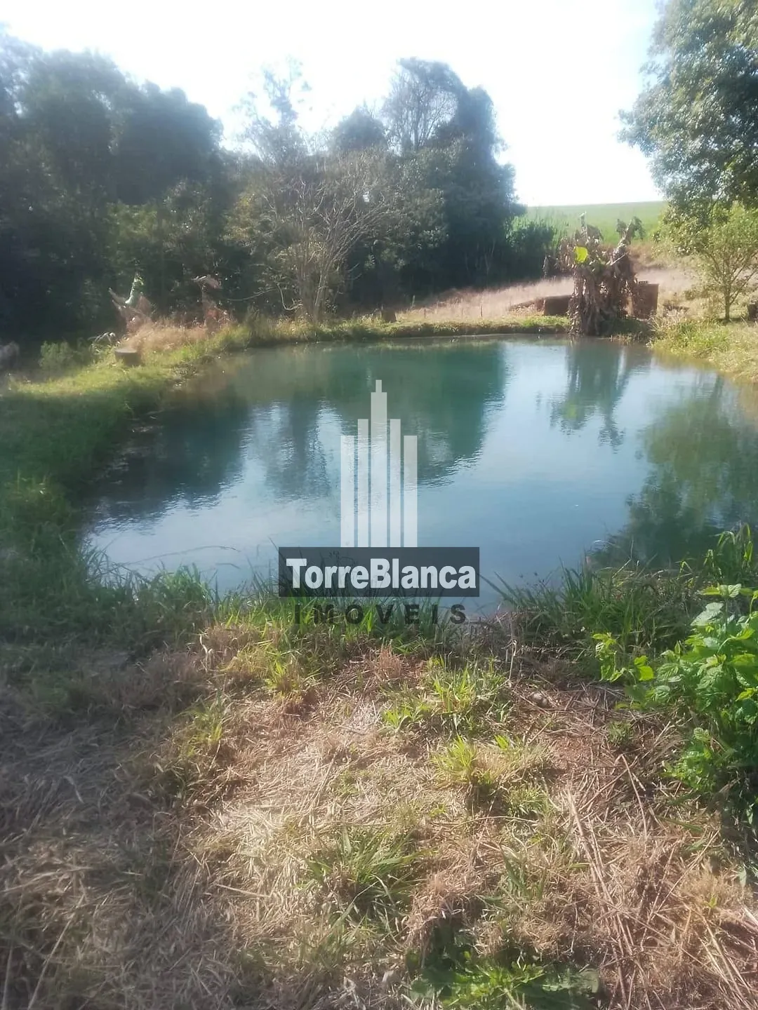 Terreno, 1 hectares - Foto 7