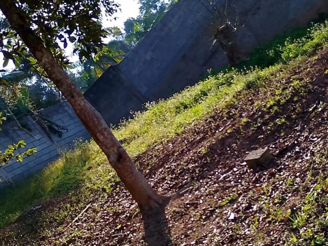 Terreno com 250m², à venda, no bairro Jardim São Luiz (Caucaia do Alto) em Cotia
