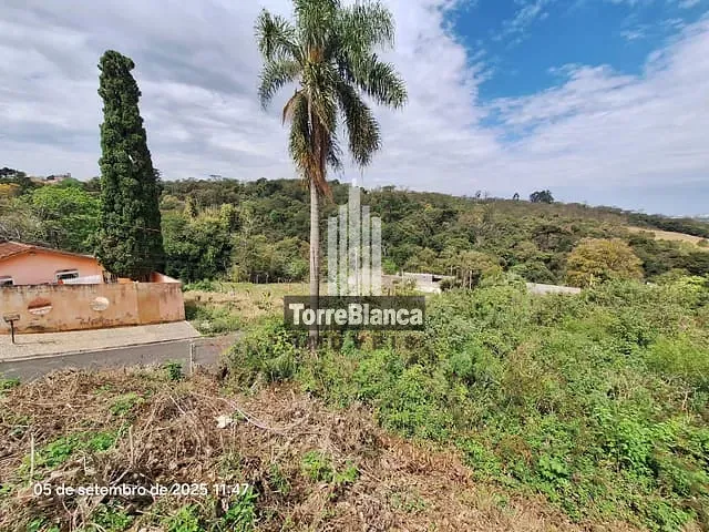 Terreno com 1800m², à venda, no bairro Uvaranas em Ponta Grossa