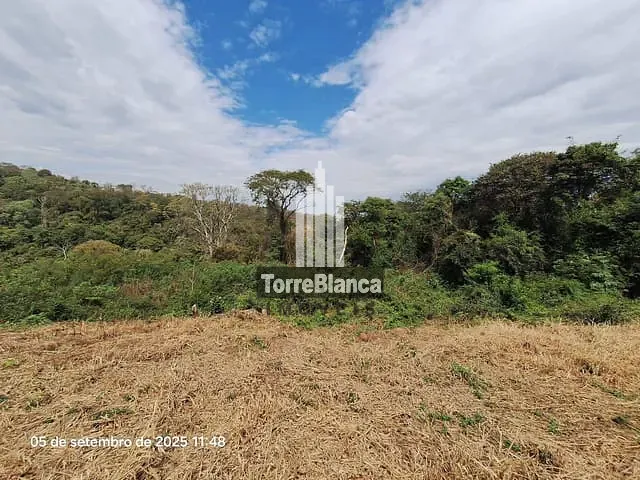 Terreno com 1800m², à venda, no bairro Uvaranas em Ponta Grossa