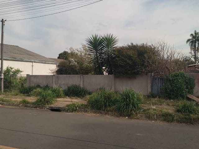 Terreno murado e plano à Venda, rua com asfalto, 495 m² no Jardim Paraíso