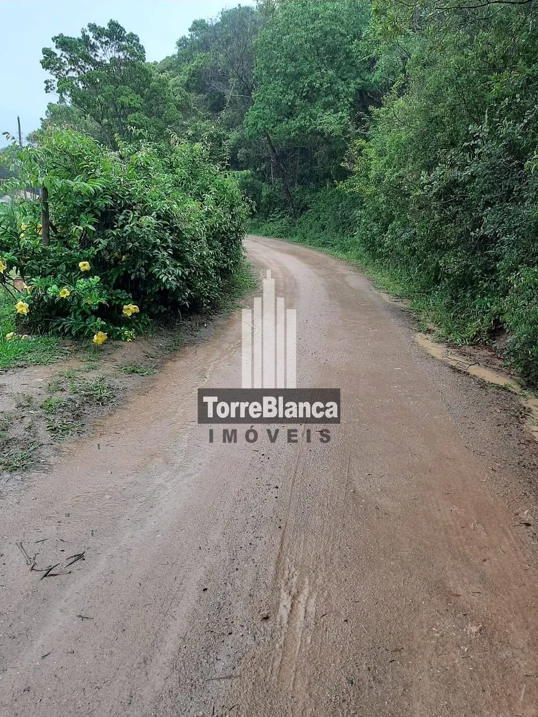 Terreno, 8621 m² - Foto 9