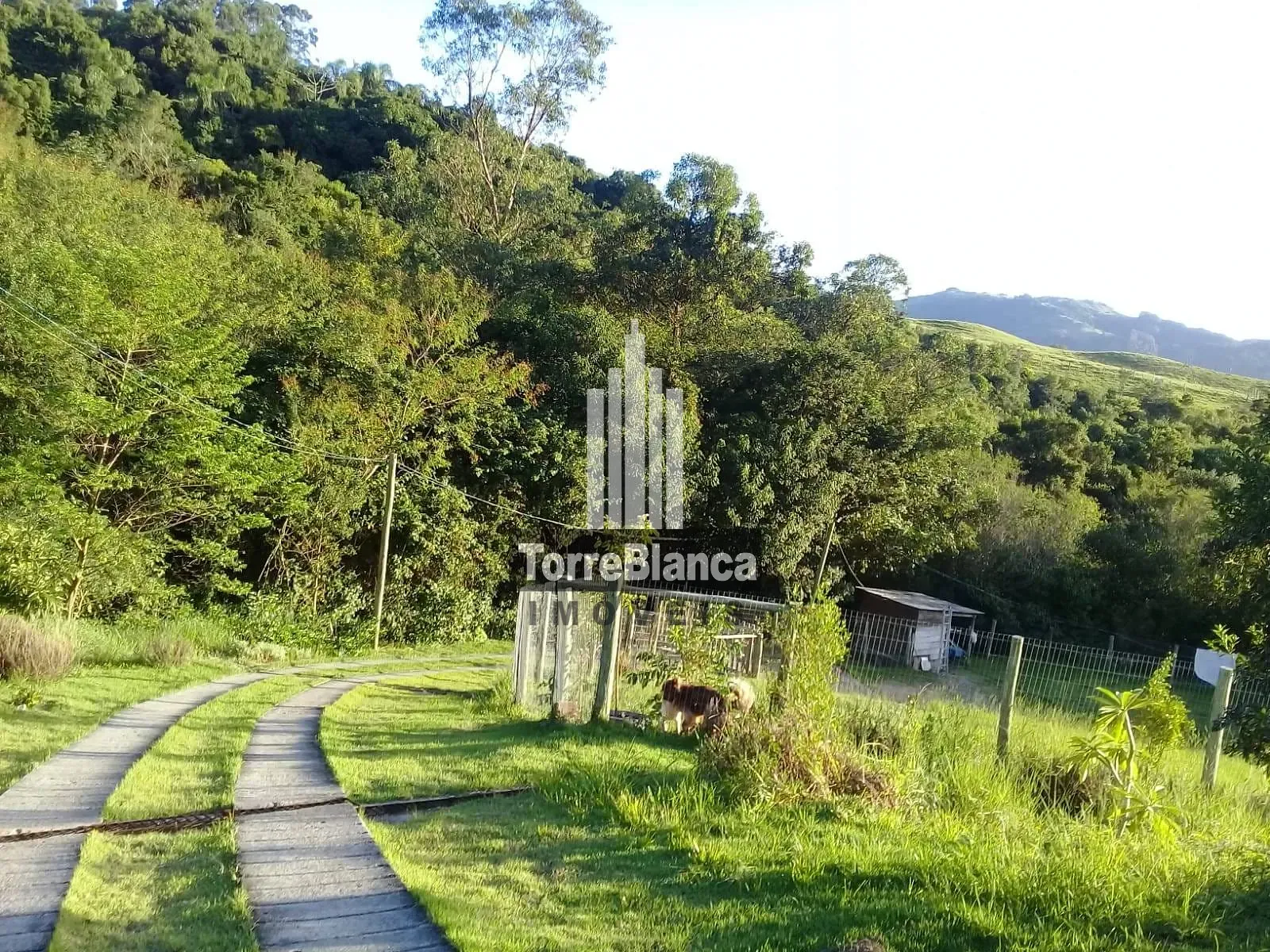 Terreno, 8621 m² - Foto 7