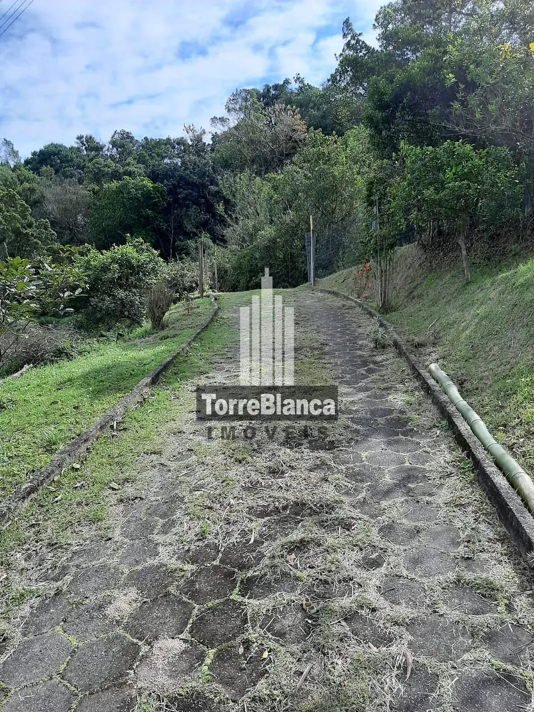 Terreno, 8621 m² - Foto 8