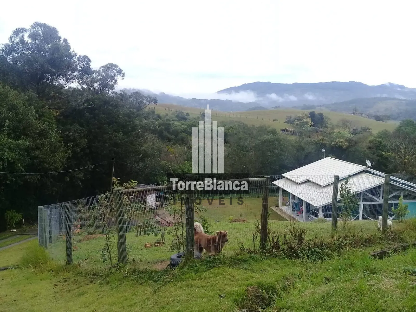 Terreno, 8621 m² - Foto 4