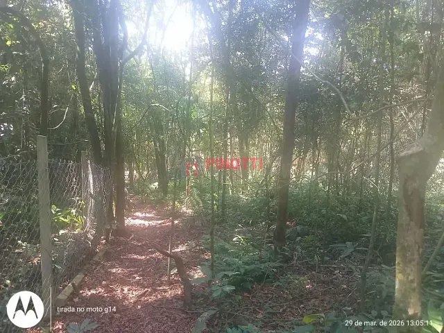 Terreno à venda, no bairro Dos Finco em São Bernardo do Campo