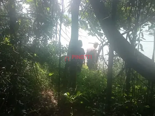 Terreno à venda, no bairro Dos Finco em São Bernardo do Campo