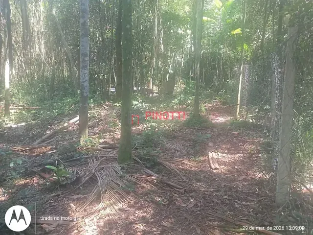 Terreno à venda, no bairro Dos Finco em São Bernardo do Campo