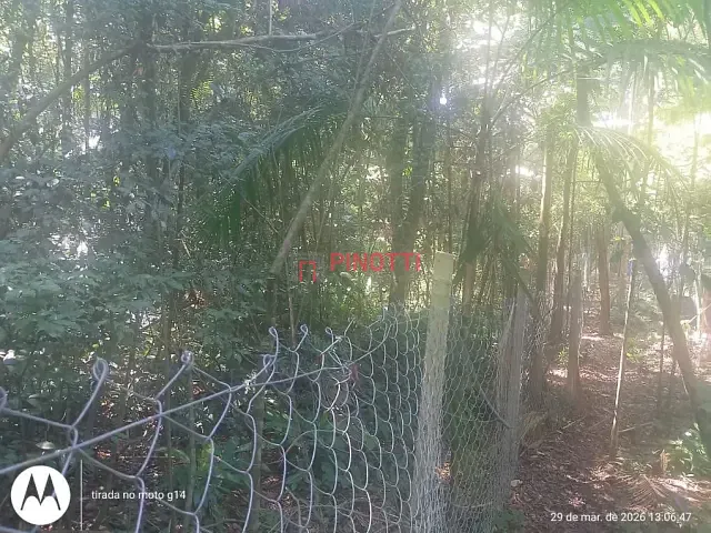 Terreno à venda, no bairro Dos Finco em São Bernardo do Campo
