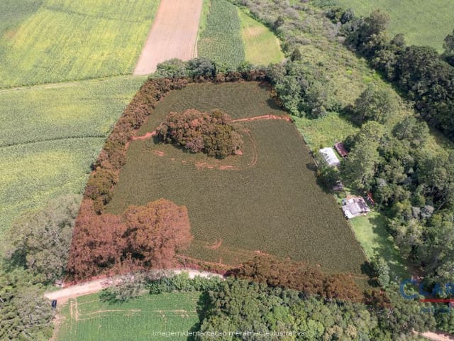 Terreno à venda, no bairro Ferraria em Campo Largo