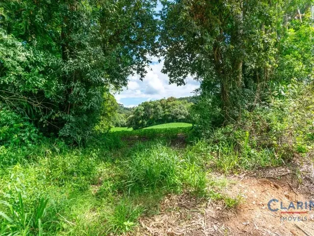 Terreno à venda, no bairro FERRARIA em Campo Largo