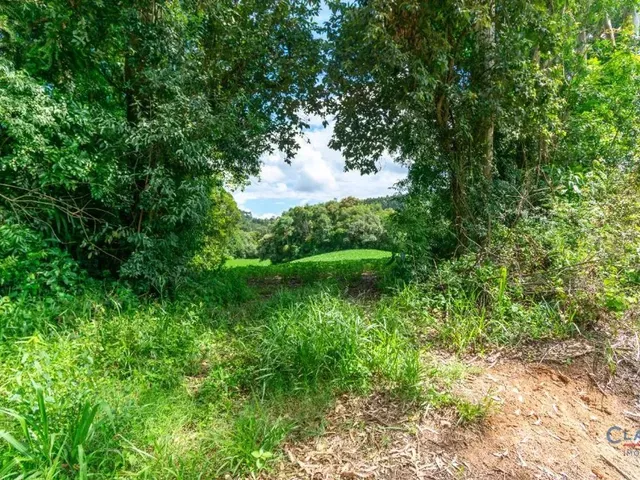 Terreno à venda, no bairro FERRARIA em Campo Largo