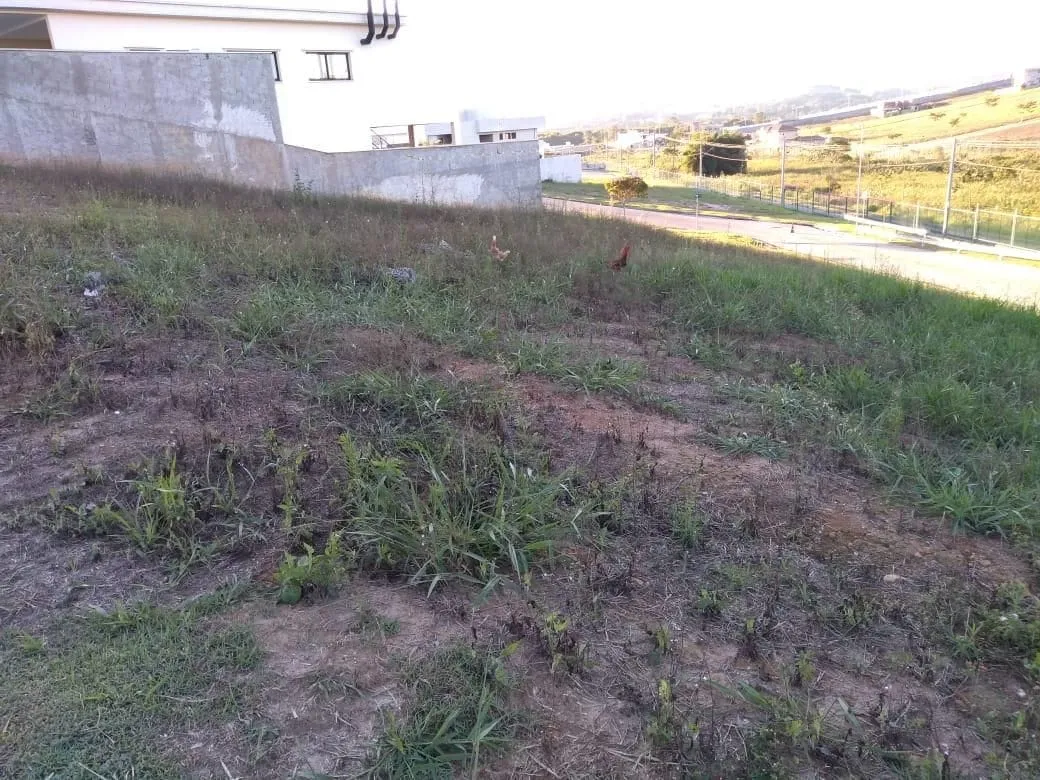 Terreno, 451 m² - Foto 4