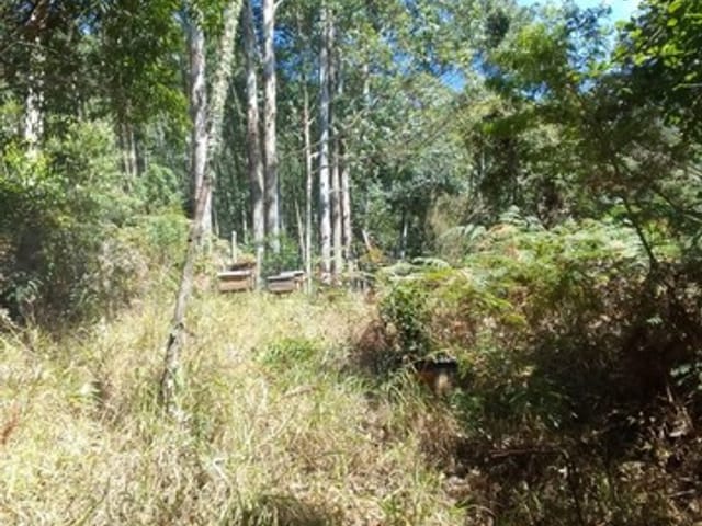 Terreno com 1200m², à venda, no bairro Centro em Mairiporã