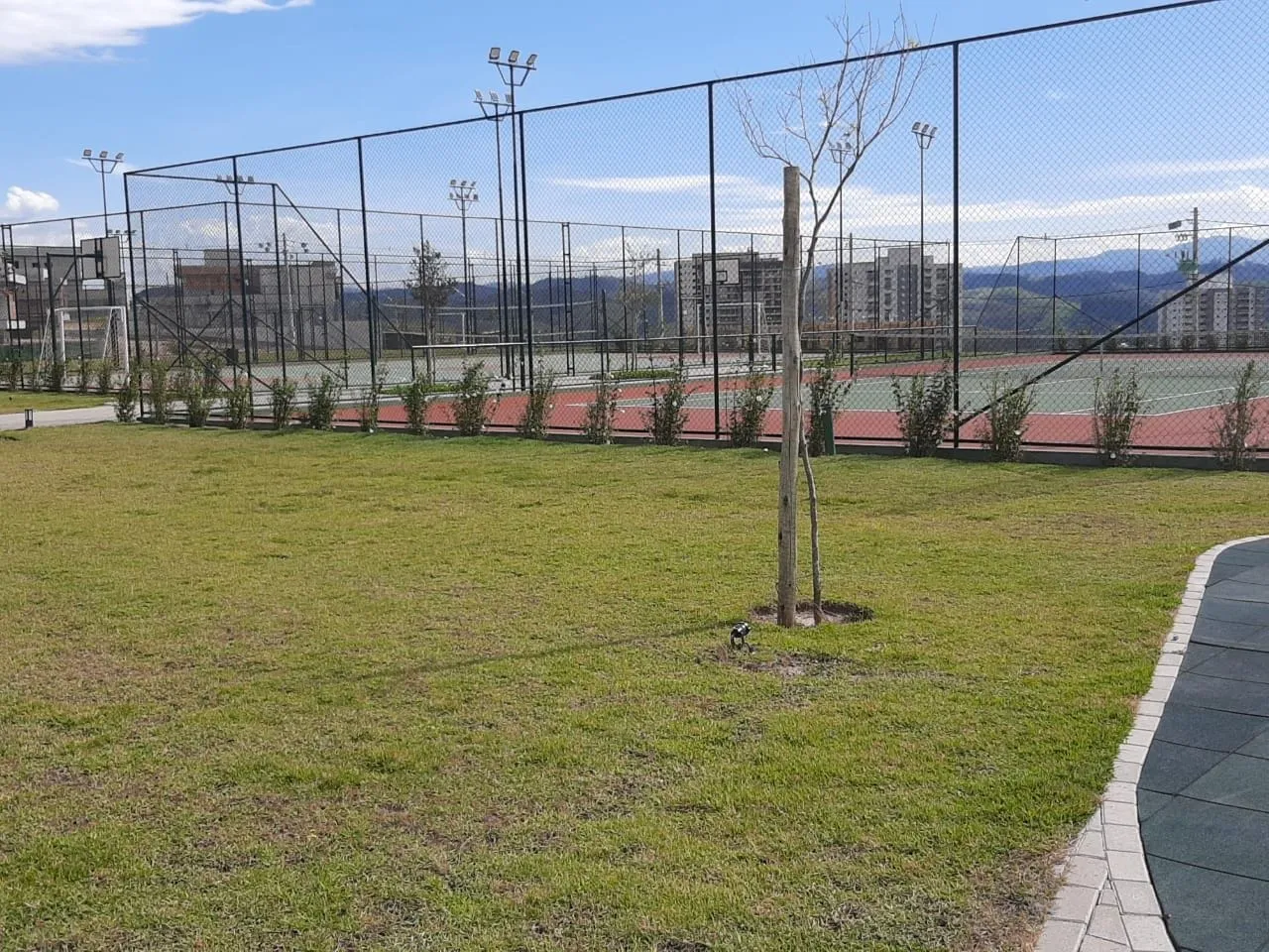 Terreno, 330 m² - Foto 11