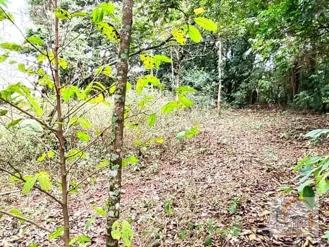 Terreno com 1450m², à venda, no bairro Jardim Estância Brasil em Atibaia