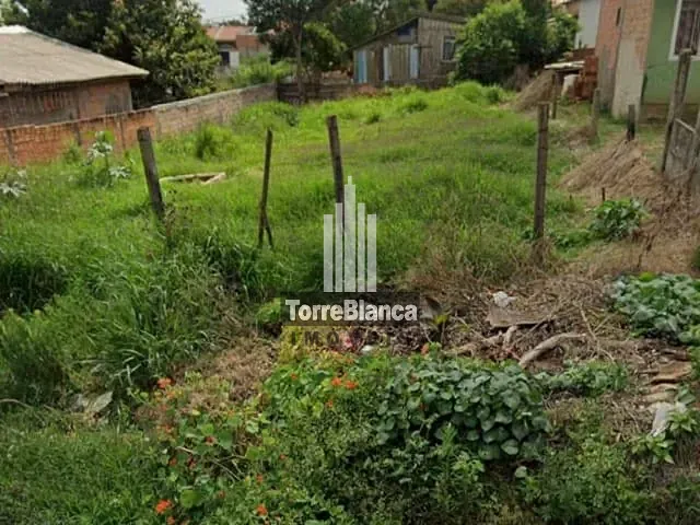 Terreno com 360m², à venda, no bairro Neves em Ponta Grossa