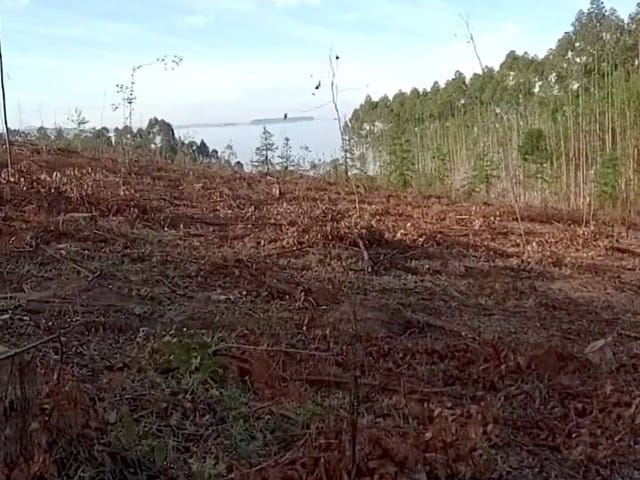 Terreno à Venda em Tibagi/PR