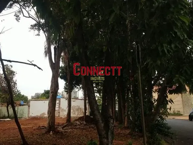 Terreno com 441m², para alugar, no bairro Jardim Irajá em Ribeirão Preto