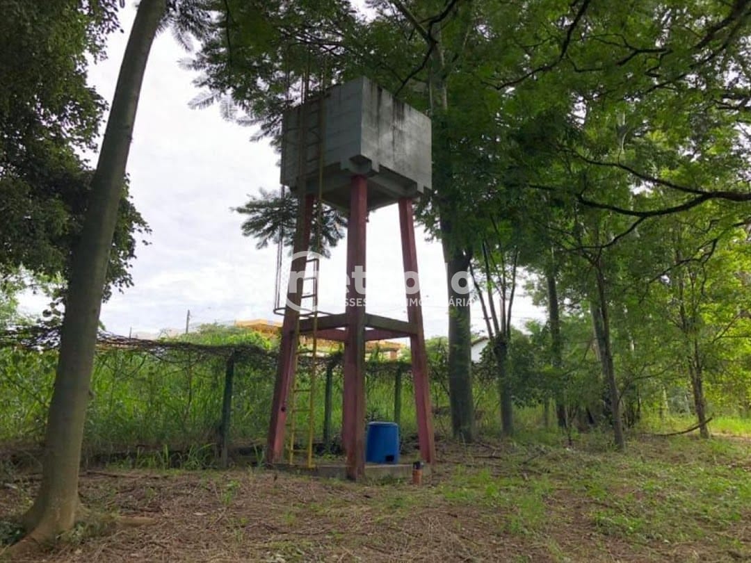 Terreno, 1 hectares - Foto 5