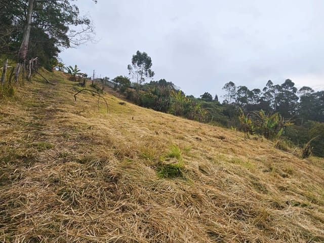 Terreno com 2770m², à venda, no bairro Cachoeira em Cotia