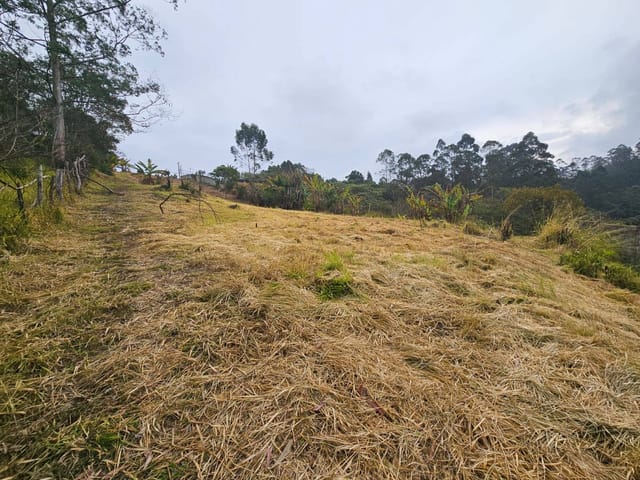 Terreno com 2770m², à venda, no bairro Cachoeira em Cotia