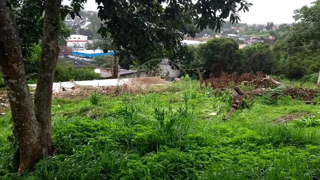 Terreno, 536 m² - Foto 8