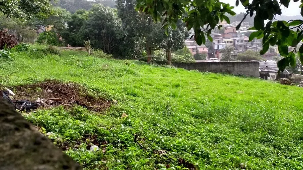 Terreno, 536 m² - Foto 7