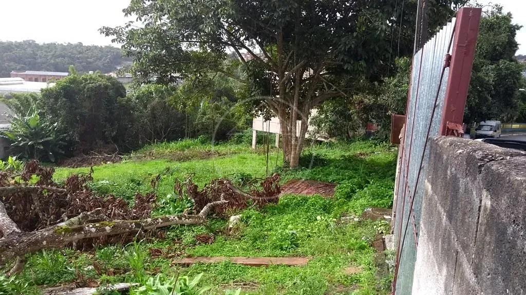 Terreno, 536 m² - Foto 2