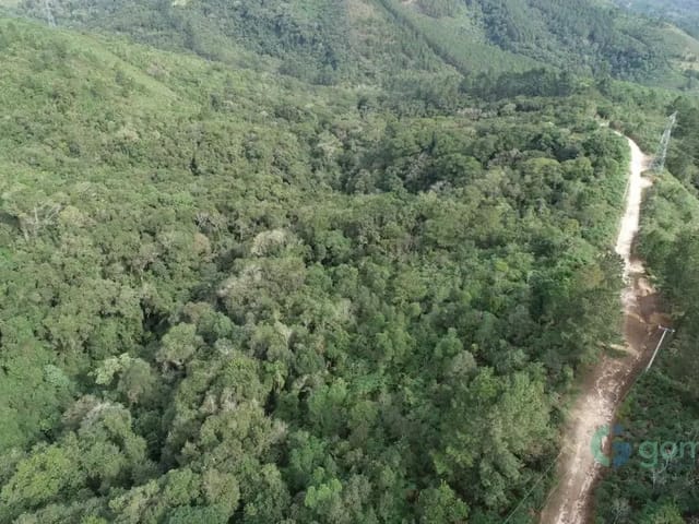 Terreno com 209257m², à venda, no bairro Bateias em Campo Largo