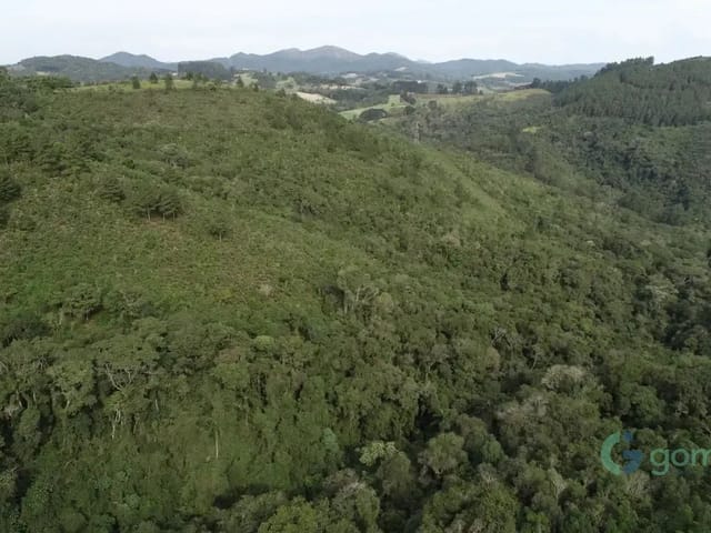 Terreno com 209257m², à venda, no bairro Bateias em Campo Largo