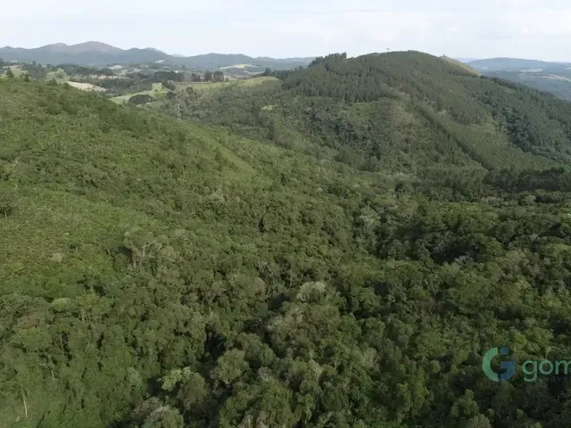 Terreno com 209257m², à venda, no bairro Bateias em Campo Largo