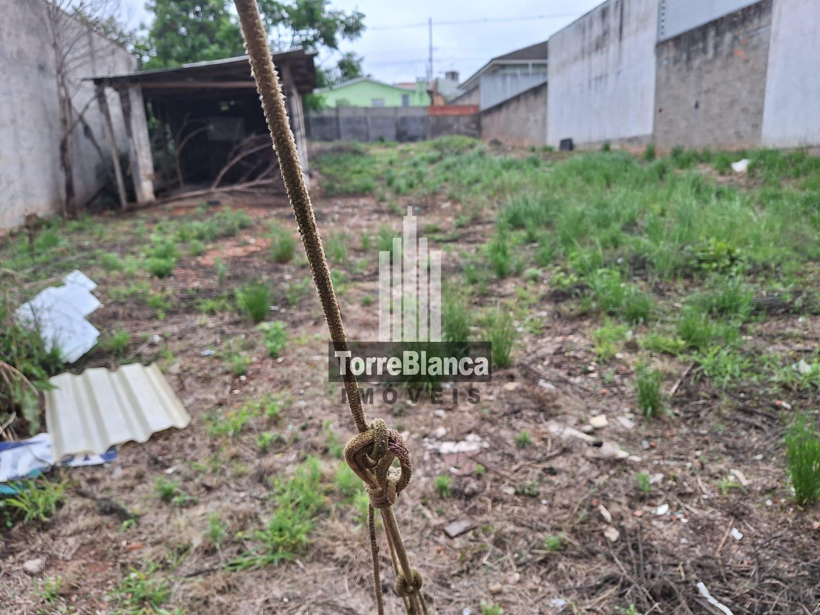 Terreno, 462 m² - Foto 4