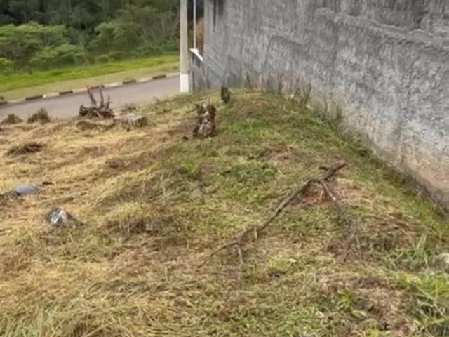 Terreno com 512m², à venda, no bairro Esmeralda Park (Caucaia do Alto) em Cotia