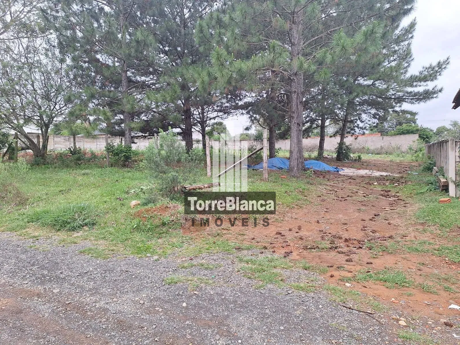 Terreno, 1000 m² - Foto 3