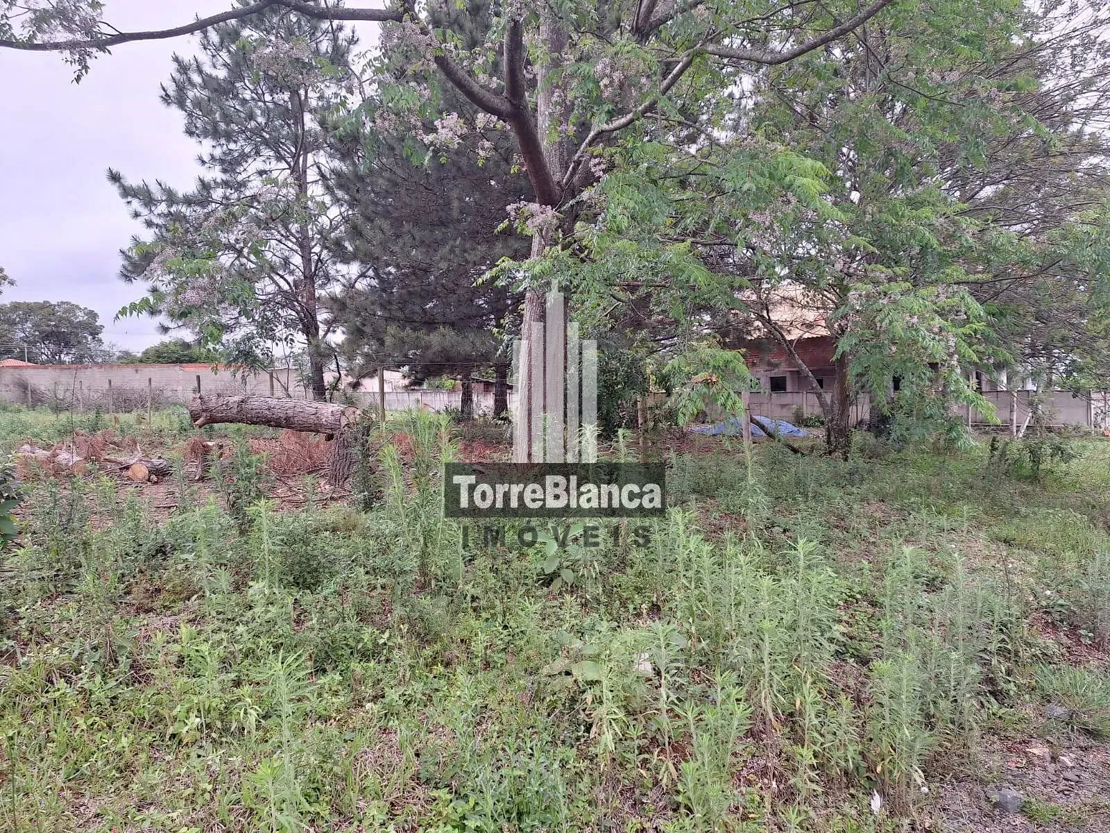 Terreno, 1000 m² - Foto 5