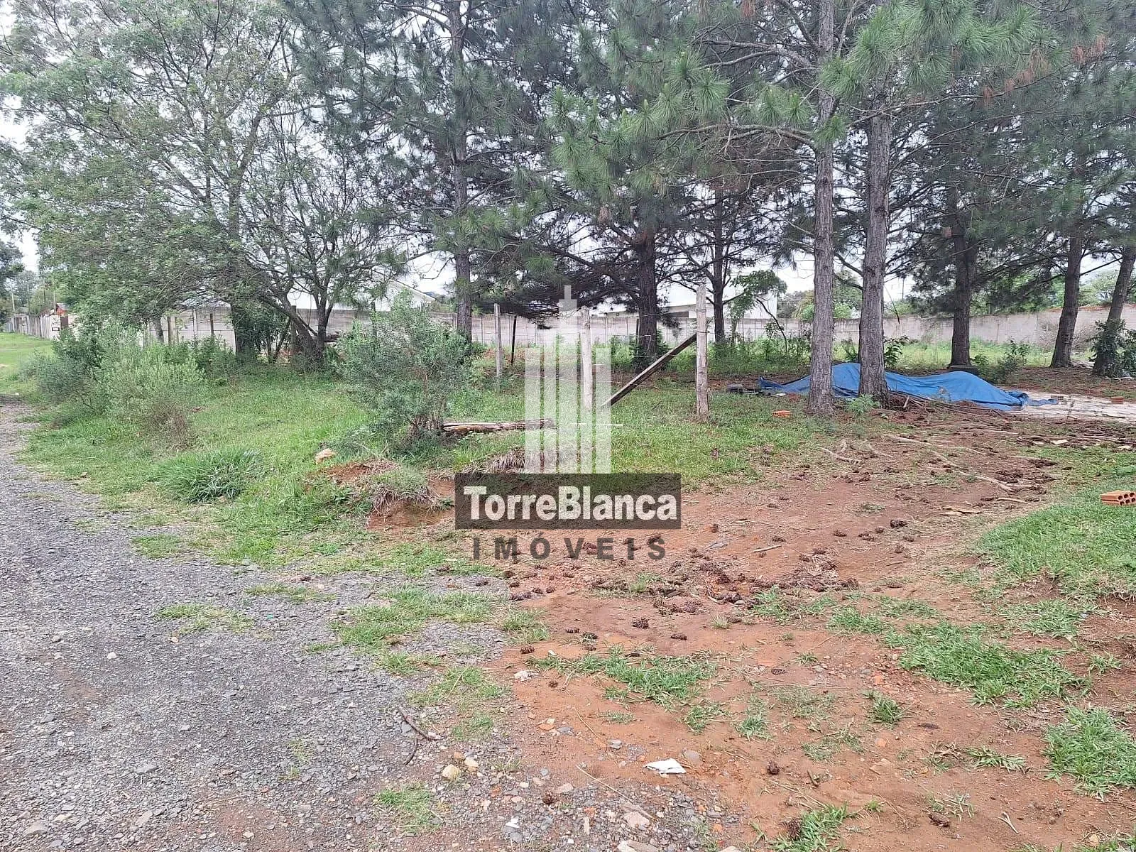 Terreno, 1000 m² - Foto 1
