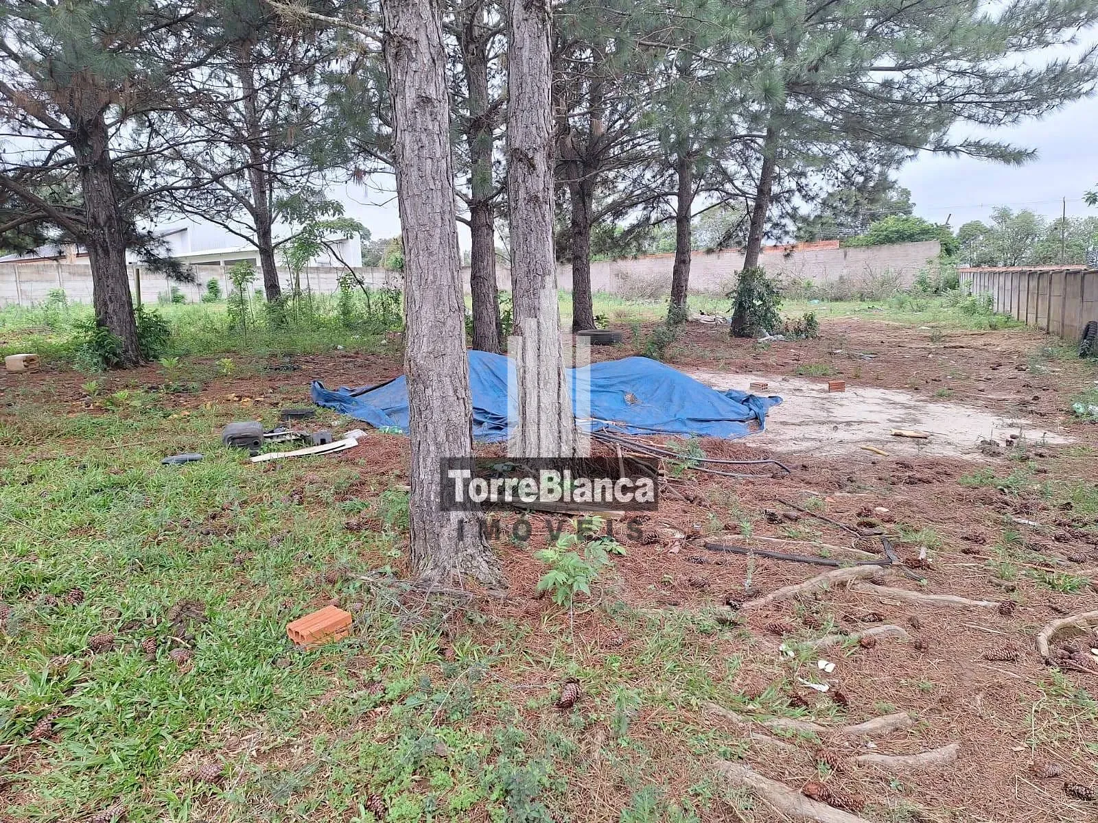 Terreno, 1000 m² - Foto 4