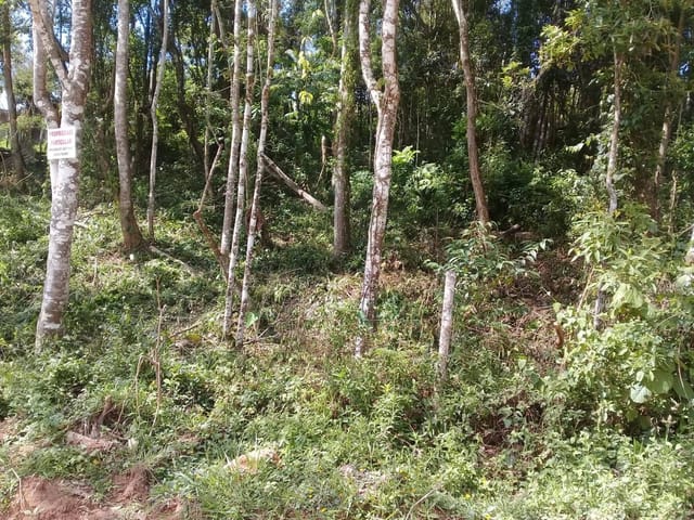 Foto do Terreno - Terreno à venda, Ressaca, Cotia, SP | Pitale Imóveis Ltda.