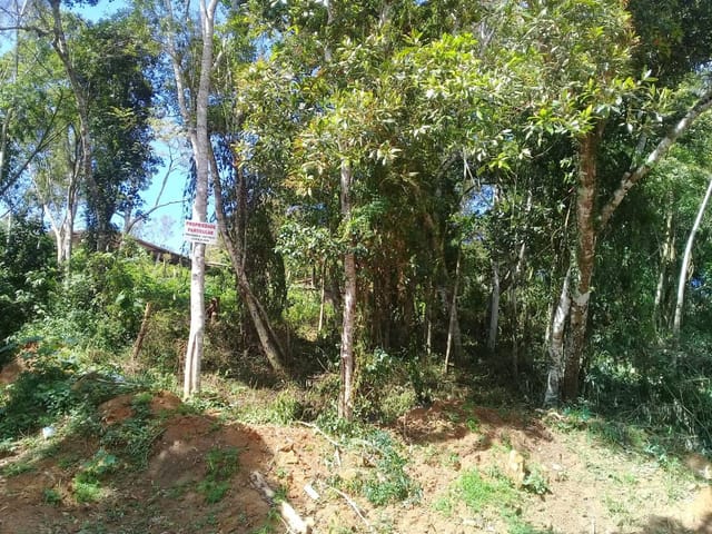 Foto do Terreno - Terreno à venda, Ressaca, Cotia, SP | Pitale Imóveis Ltda.