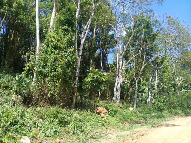 Foto do Terreno - Terreno à venda, Ressaca, Cotia, SP | Pitale Imóveis Ltda.