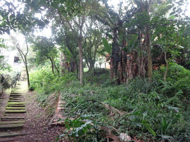 Terreno com 530m², à venda, no bairro Granja Carneiro Viana em Cotia