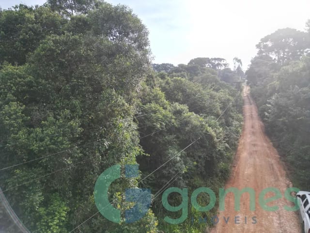 Terreno à venda, no bairro Campo Alto em Tijucas Do Sul