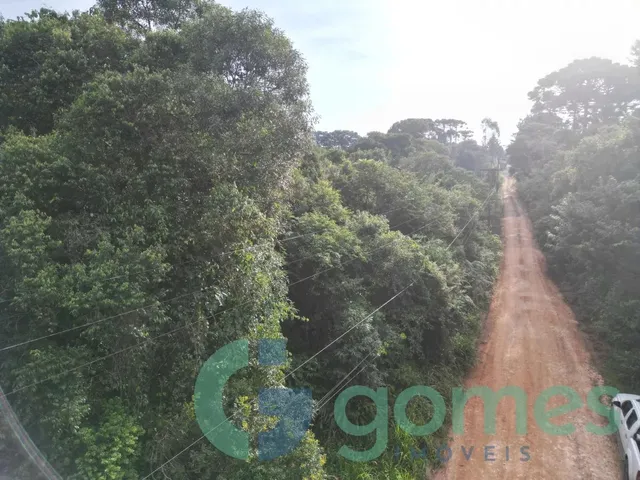 Terreno à venda, no bairro Campo Alto em Tijucas Do Sul