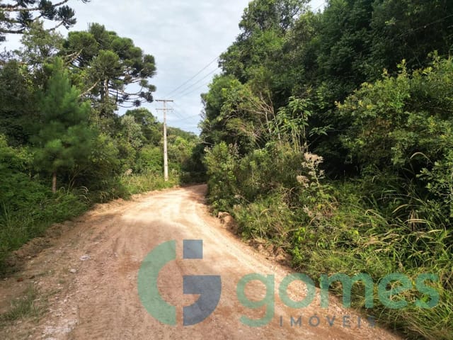 Terreno à venda, no bairro Campo Alto em Tijucas Do Sul