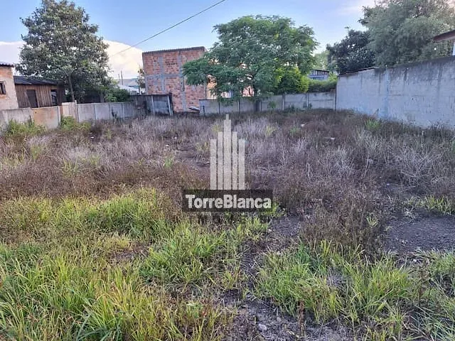 Terreno com 315m², à venda, no bairro Oficinas em Ponta Grossa
